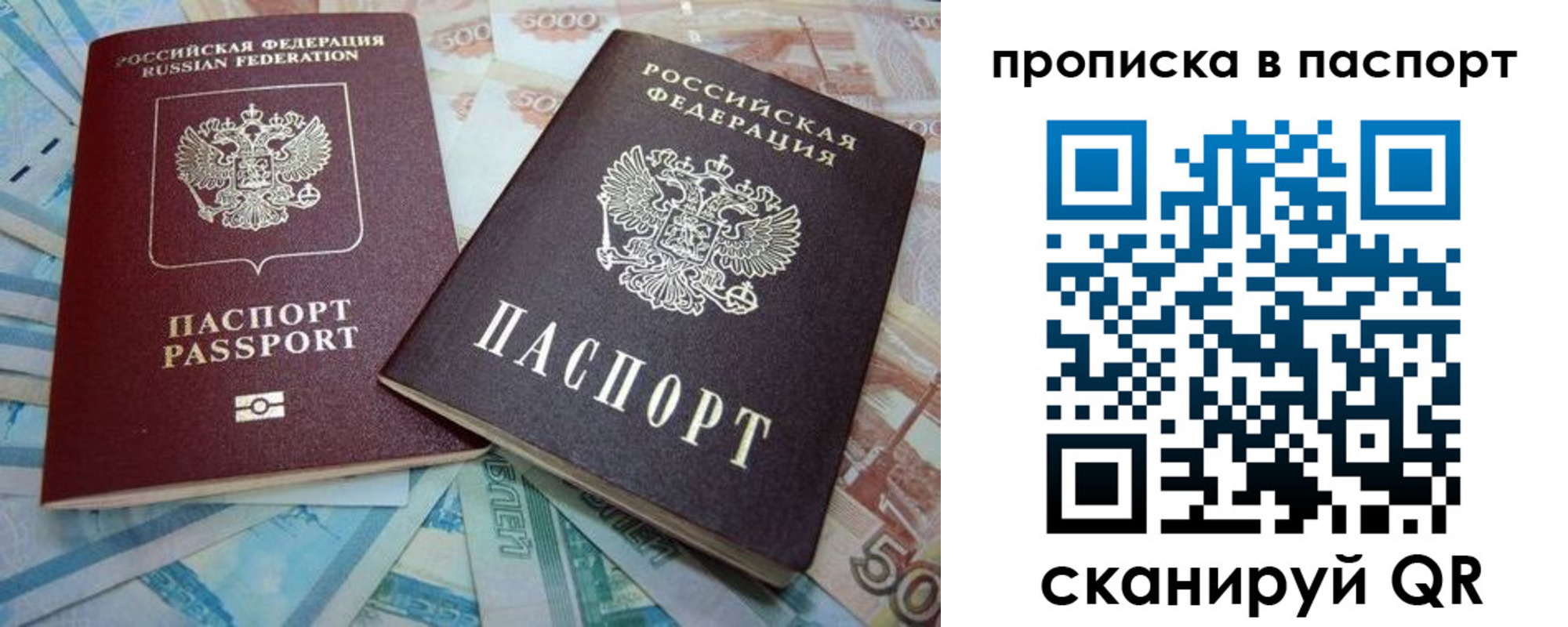 прописка поиск в Белёве